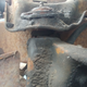 Illustration for article titled Think i can salvage these brake rotors?